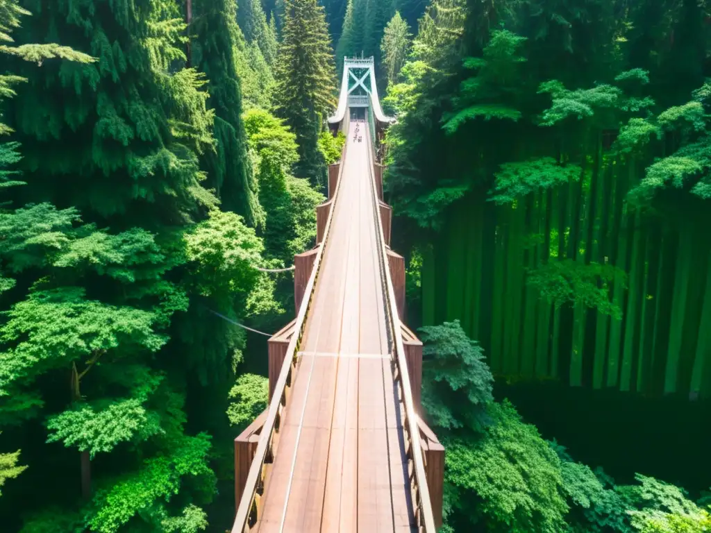 El impresionante Puente Colgante Capilano se fusiona con la exuberante vegetación, reflejando armonía natural y atractivo humano