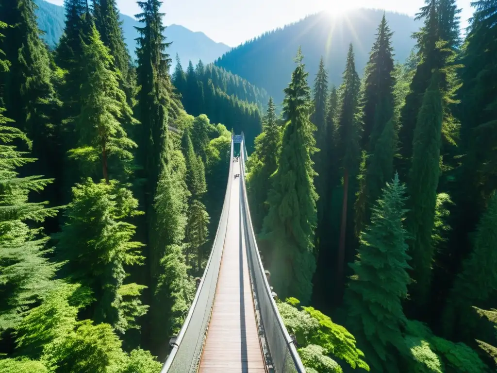 Impresionante puente colgante Capilano, historia y arquitectura entre frondosos árboles, visitantes disfrutando de la belleza natural