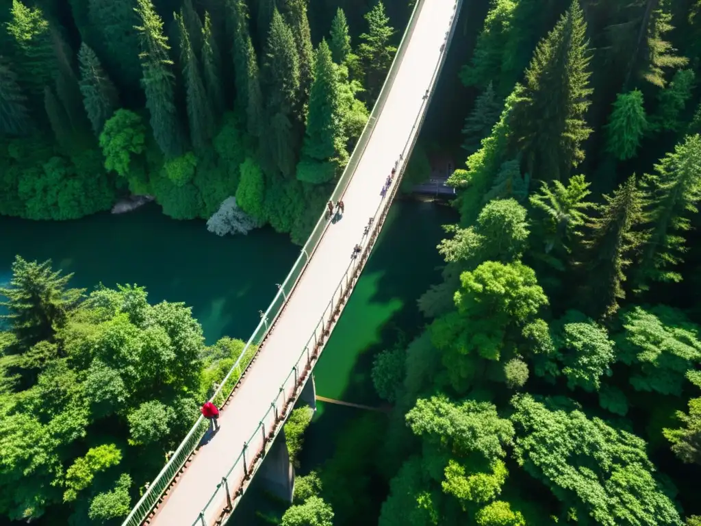 Explora el puente colgante Capilano, una maravilla arquitectónica entre la exuberante vegetación