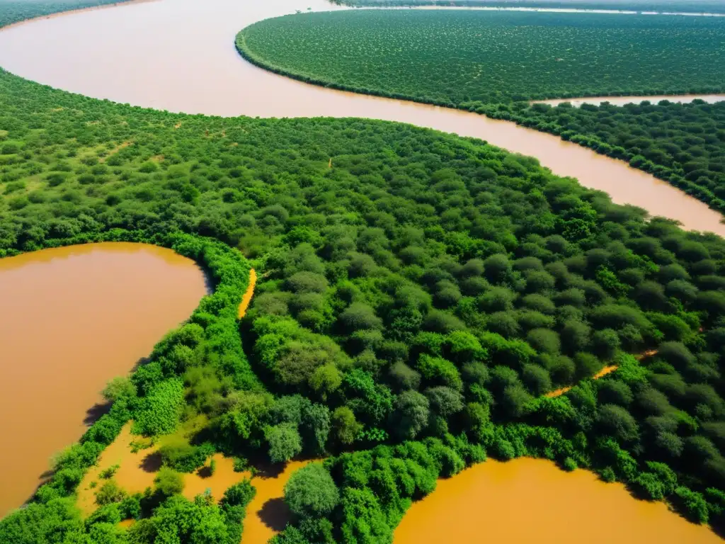 El río Bani serpentea entre el árido paisaje de Burkina Faso, flanqueado por exuberante vegetación