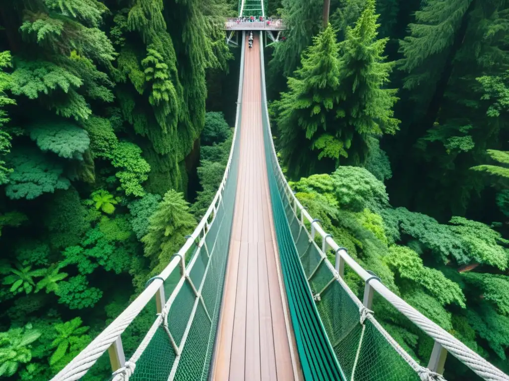 Vista aérea impresionante del Puente Colgante Capilano, integrado armoniosamente en el exuberante entorno natural, con visitantes cruzándolo