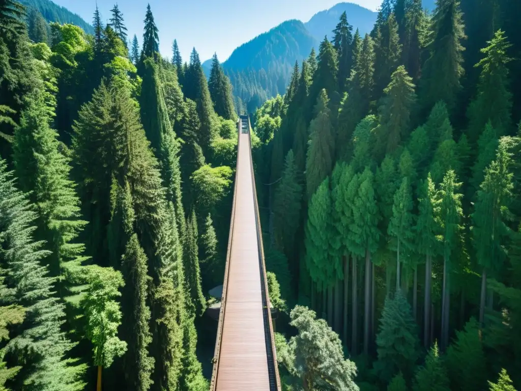 Vista impresionante del Puente colgante Capilano integrado en el exuberante paisaje natural